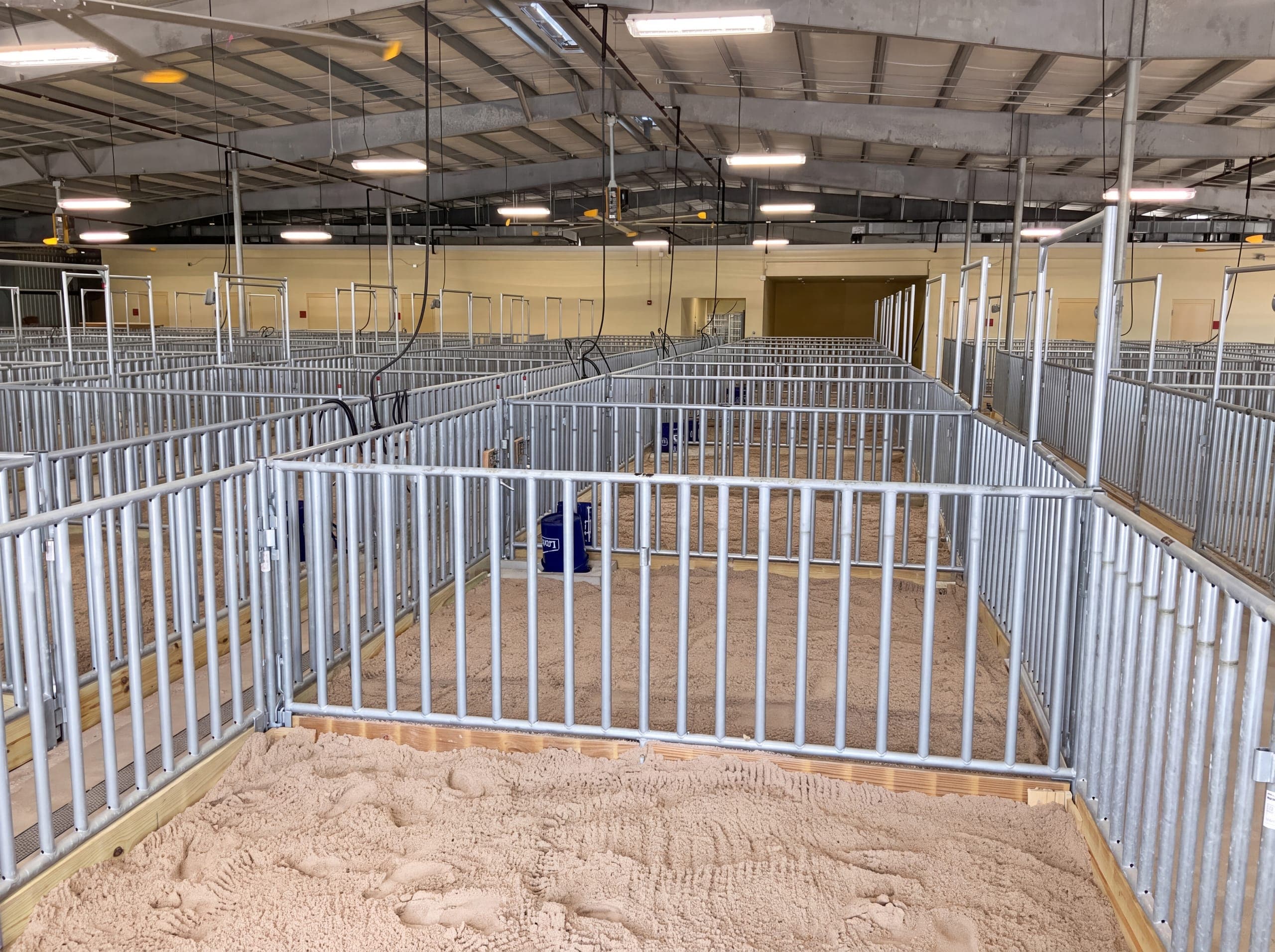 Agricultural Facility, PSJA ISD (photo 6 of 10)