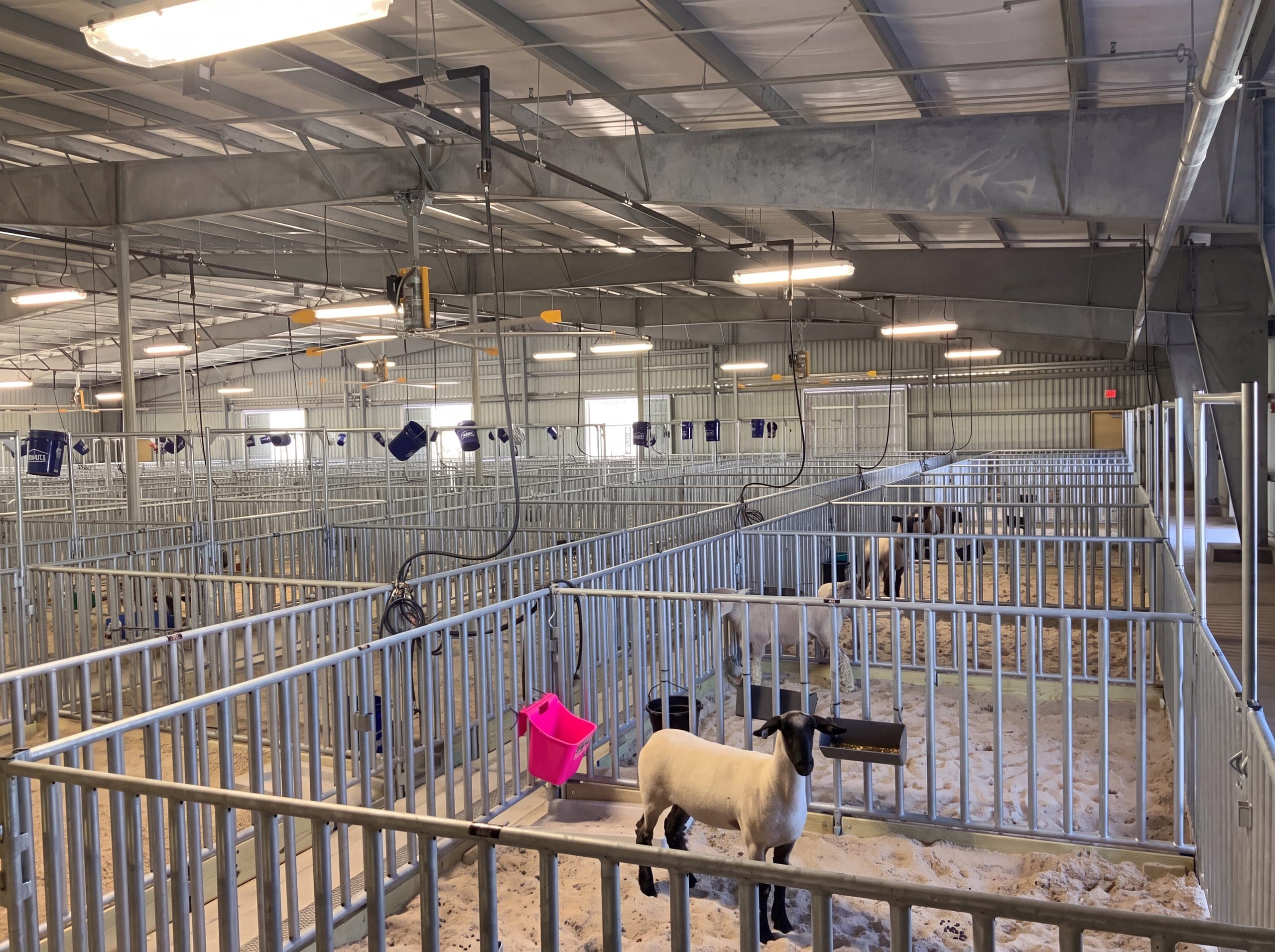 Agricultural Facility, PSJA ISD (photo 7 of 10)